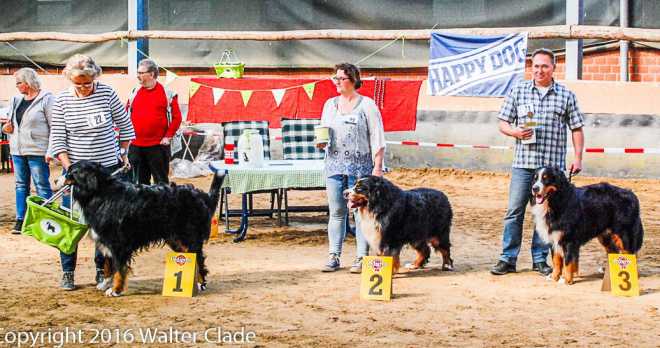 5.schoenheitsschau bsv2010 e.v 10