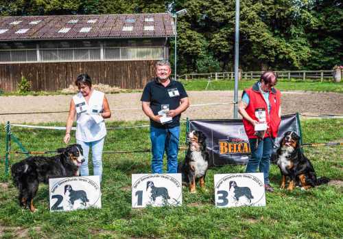 8.schoenheitsschau bsv2010 12