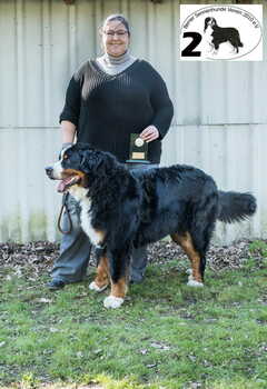 Emilio von den Bruner Hohen